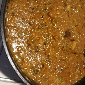 夏にもおすすめ☆酸味を効かせた牛ヒレ煮込みカレー